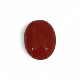 Coral - लाल मूंगा (Laal Moonga) | 3.15 ct from Japan | Certified Loose Gemstone for Astrology & Jewelry